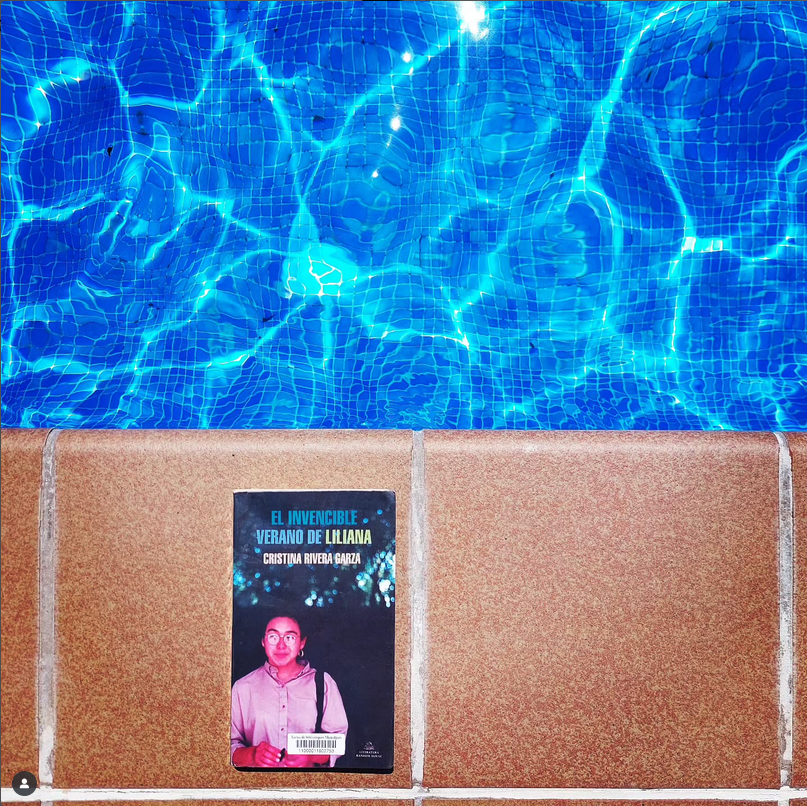 Cristina Rivera Garza, <i>El invencible verano de Liliana</i>