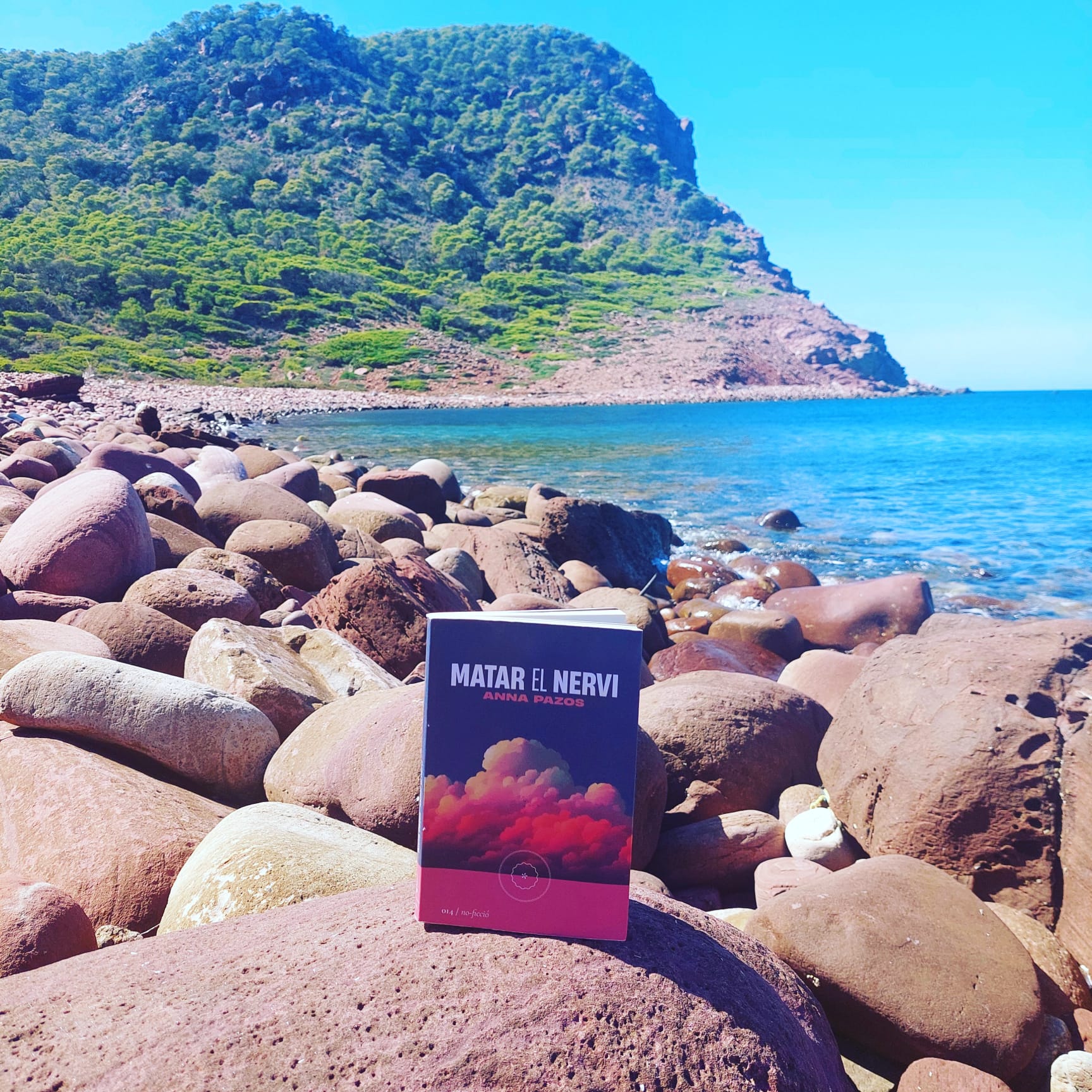 Anna Pazos, <i>Matar el nervi</i>