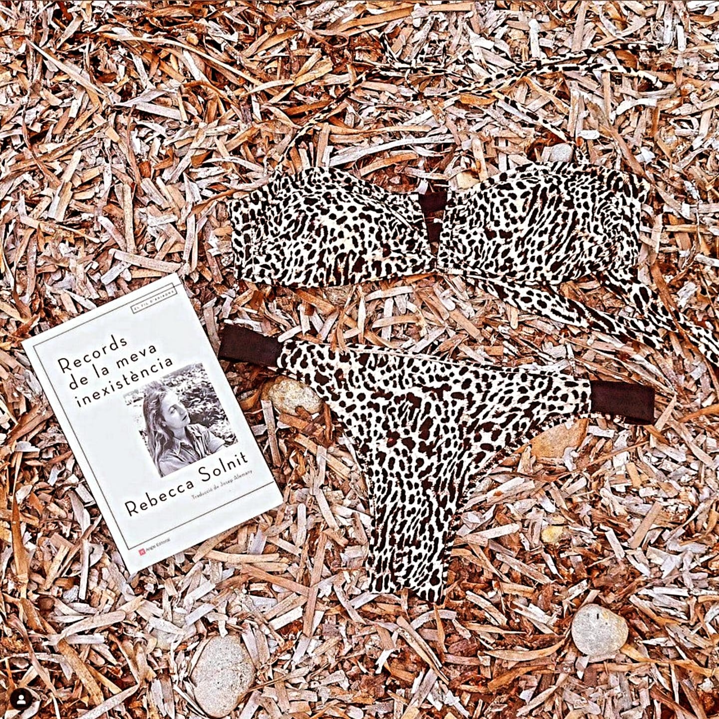 Rebecca Solnit, <i>Records de la meva inexistència</i>