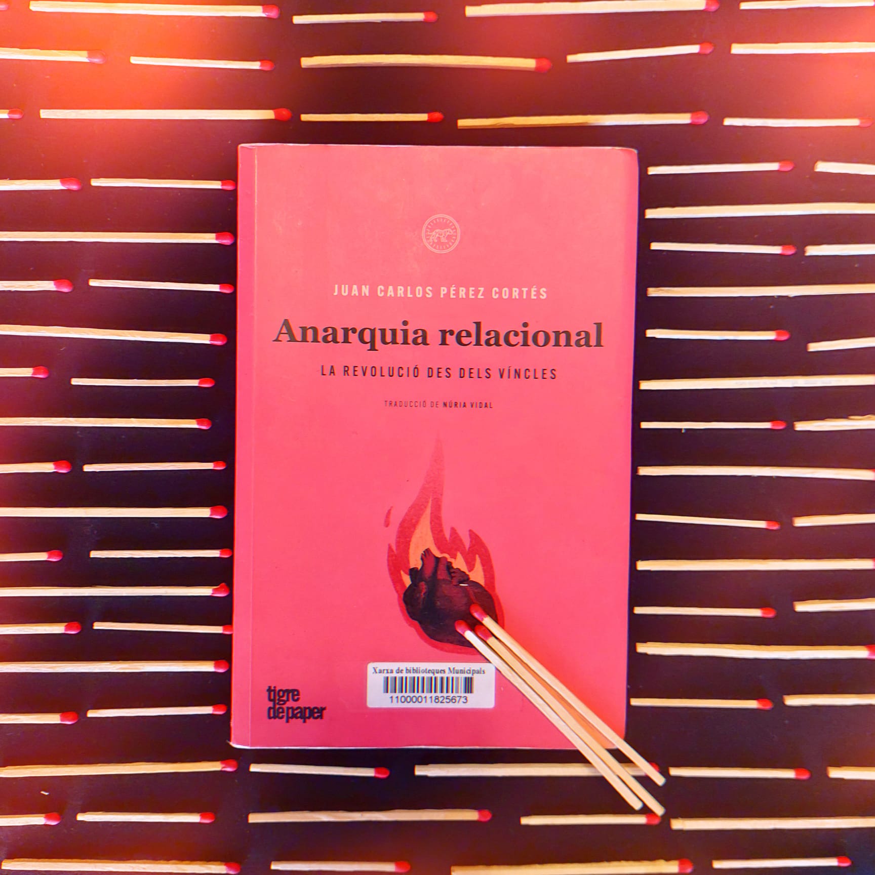 Juan Carlos Pérez Cortés, <i>Anarquía relacional</i>