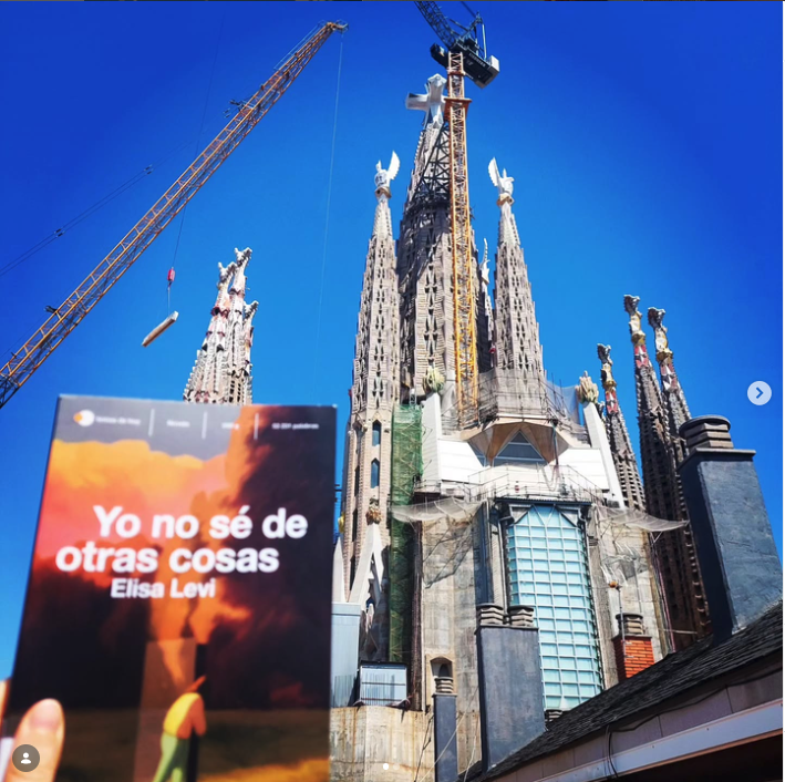 Elisa Levi, <i>Yo no sé de otras cosas</i>