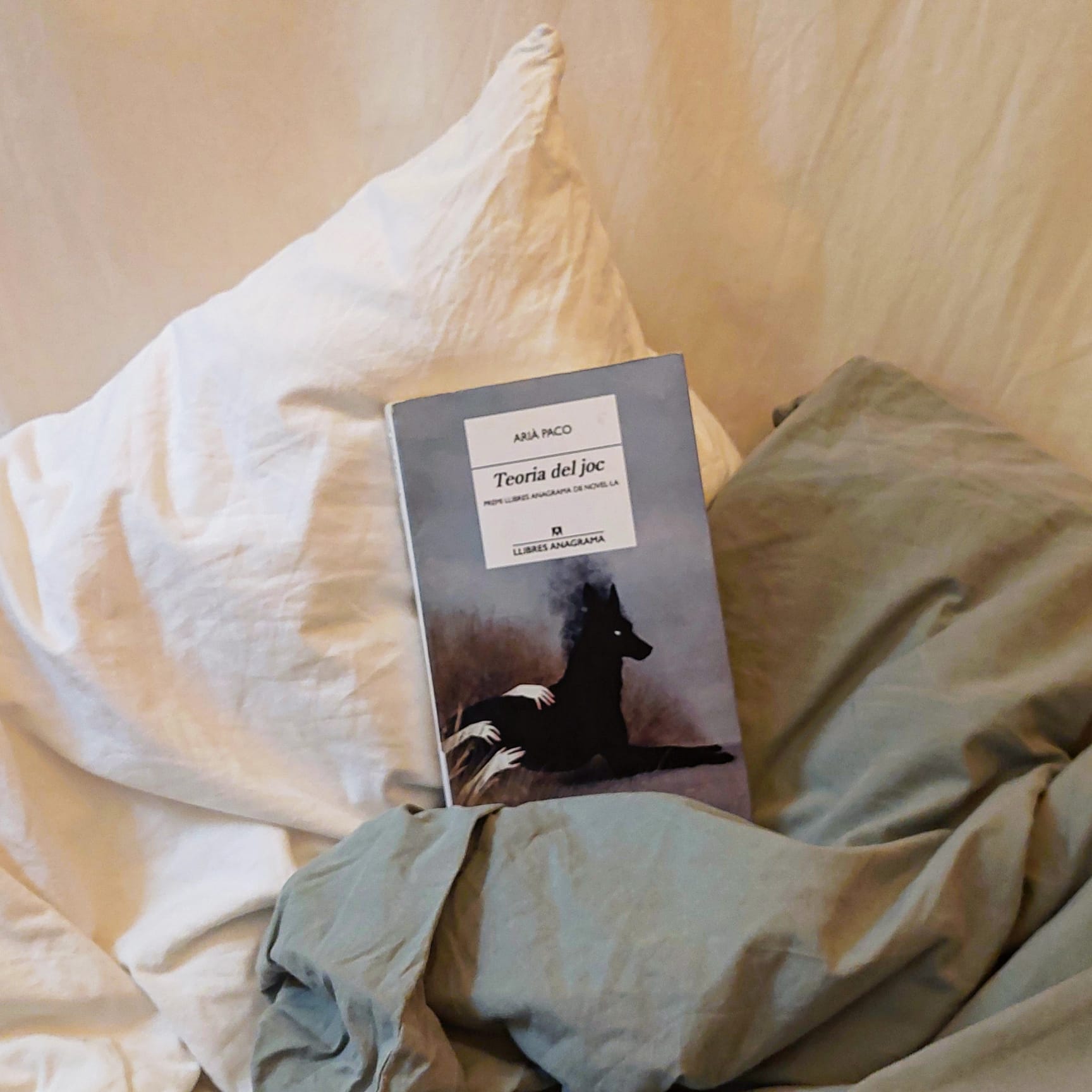 Arià Paco, <i>Teoria del joc</i>