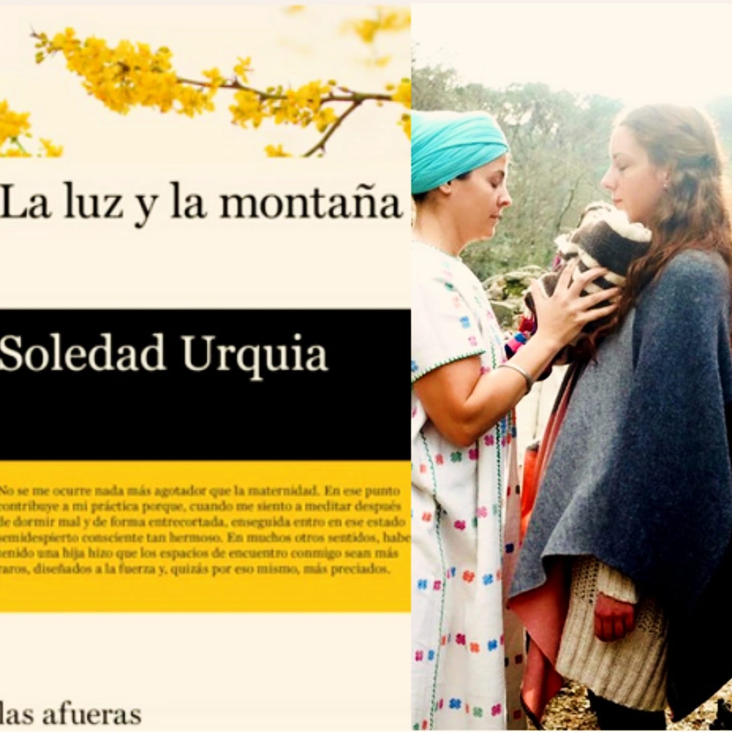 Soledad Urquía, <i>La luz y la montaña</i>