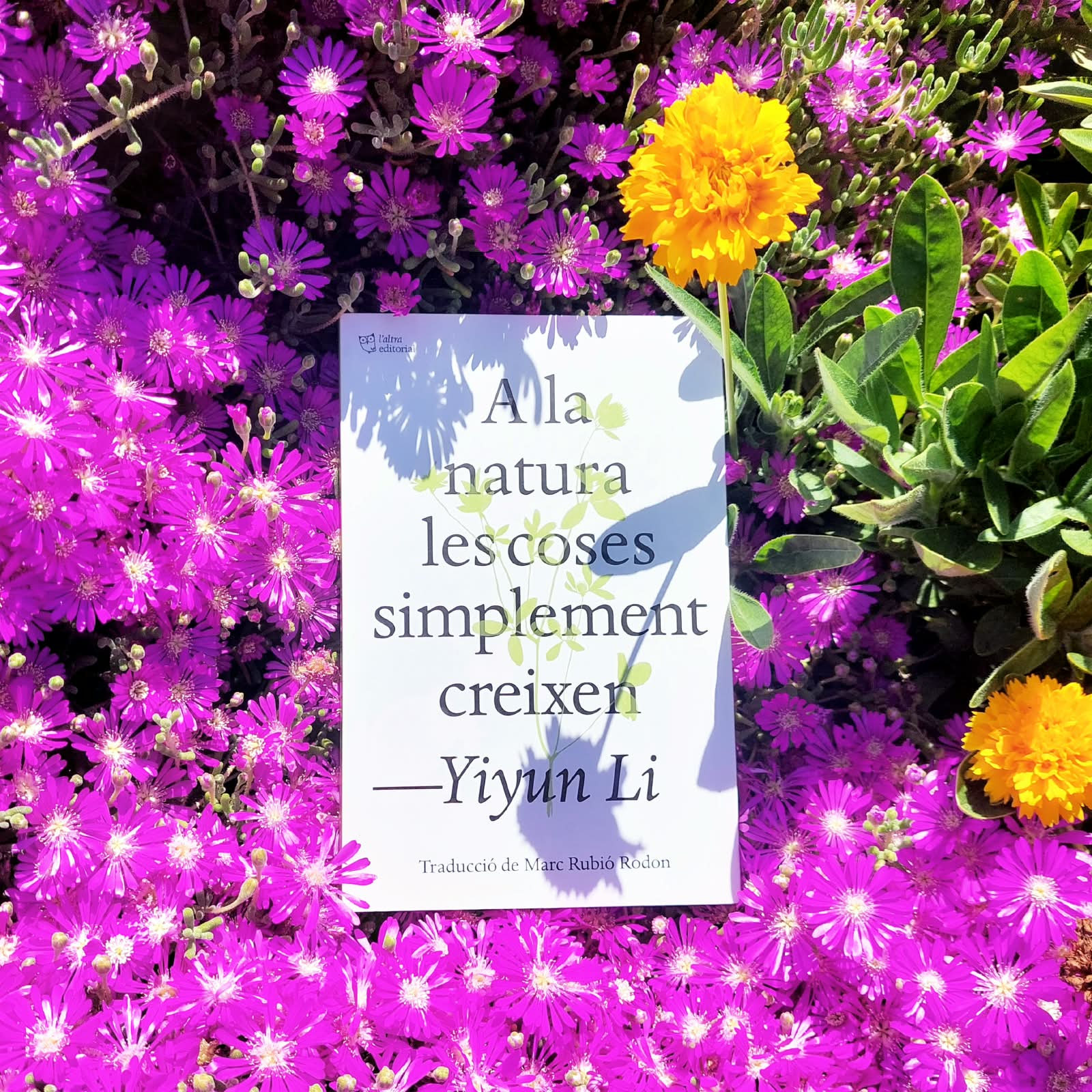 Yiyun Li, <i>A la natura les coses creixen</i>